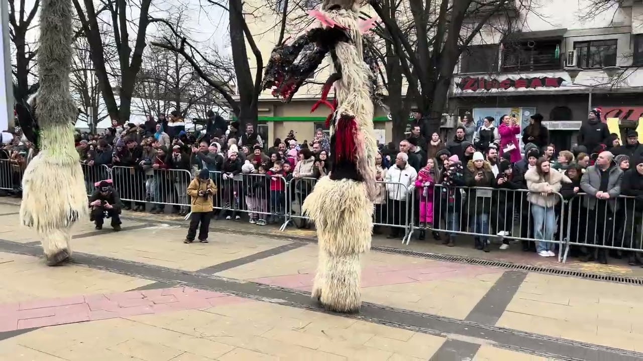 Сурва Перник 2026 - Брежани 