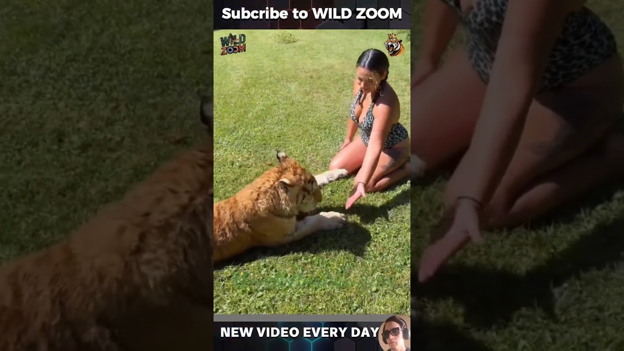 You Won&rsquo;t Believe These AMAZING Animal Moments!