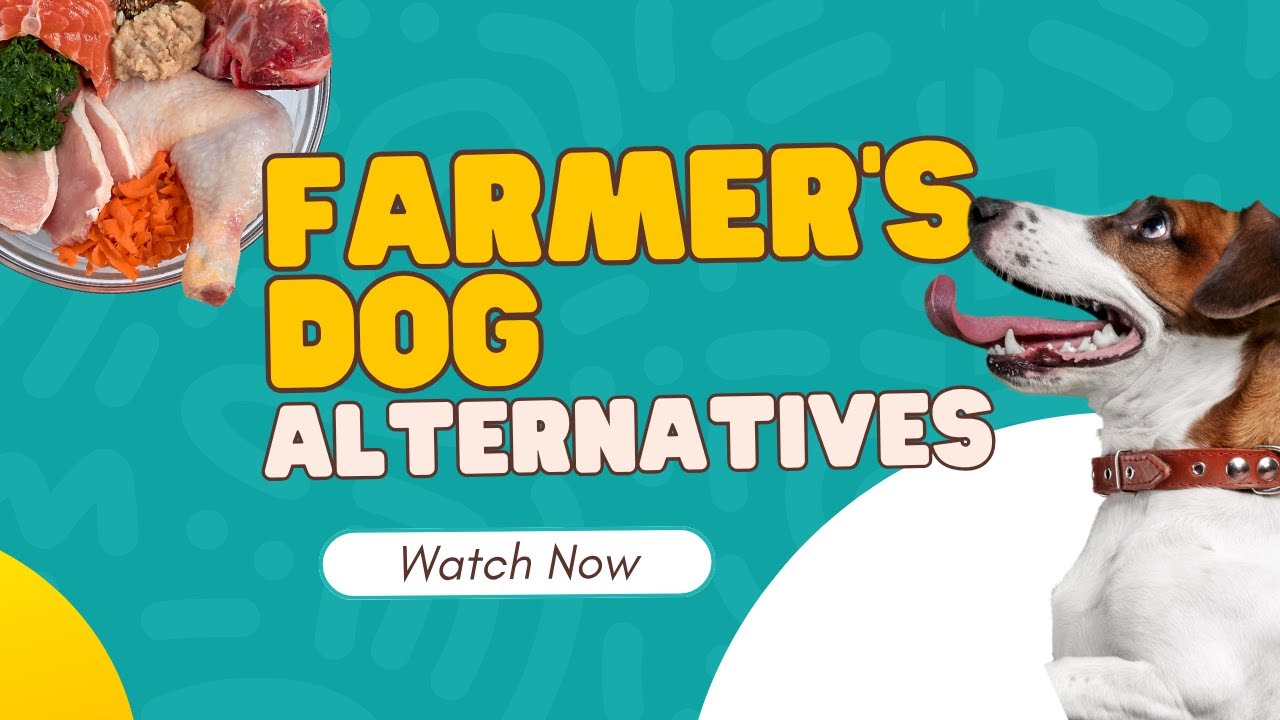 Farmer’s Dog Alternatives: Best Fresh & Raw Dog Food Options I’ve Tried