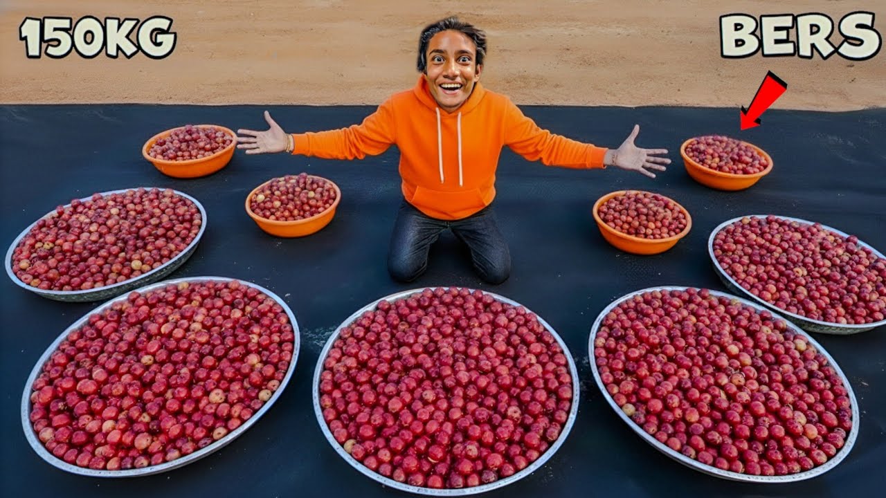 “We Collected 150KG Berries In The Jungle 🌳”150 किलो बेर तोड़ लिए