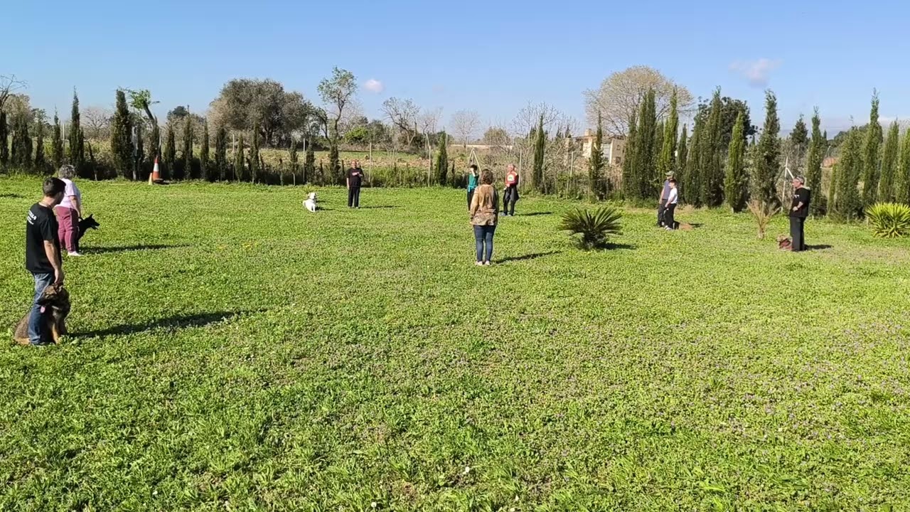 4 Semana Clase Grupal (Marzo)
