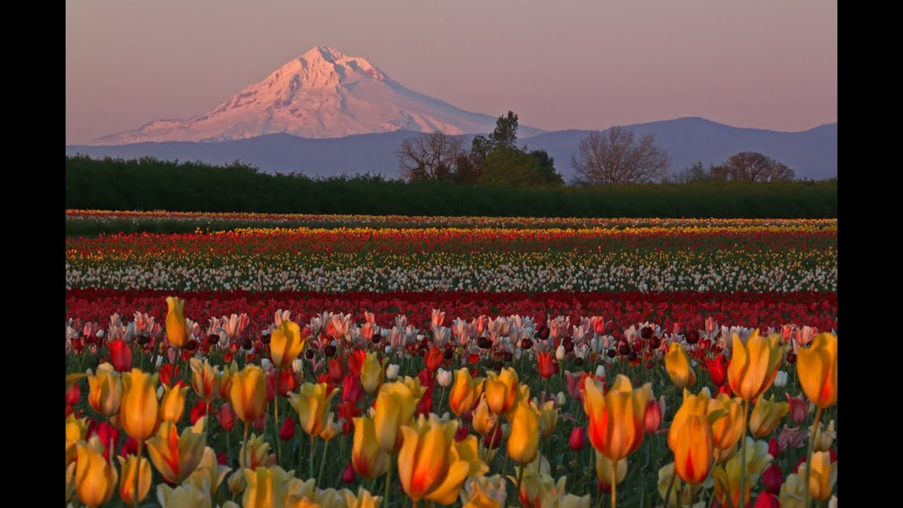 Visit Woodburn Oregon!