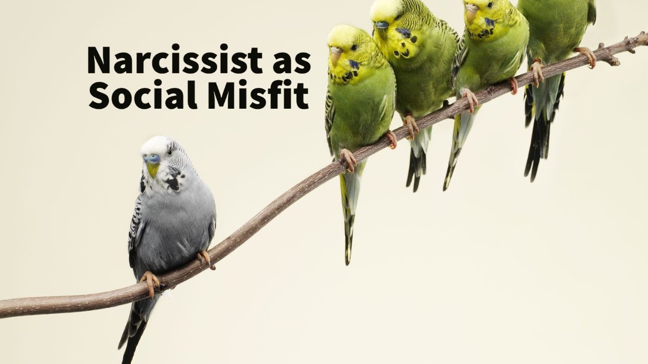 Narcissist as Social Misfit (Social Learning Theory)