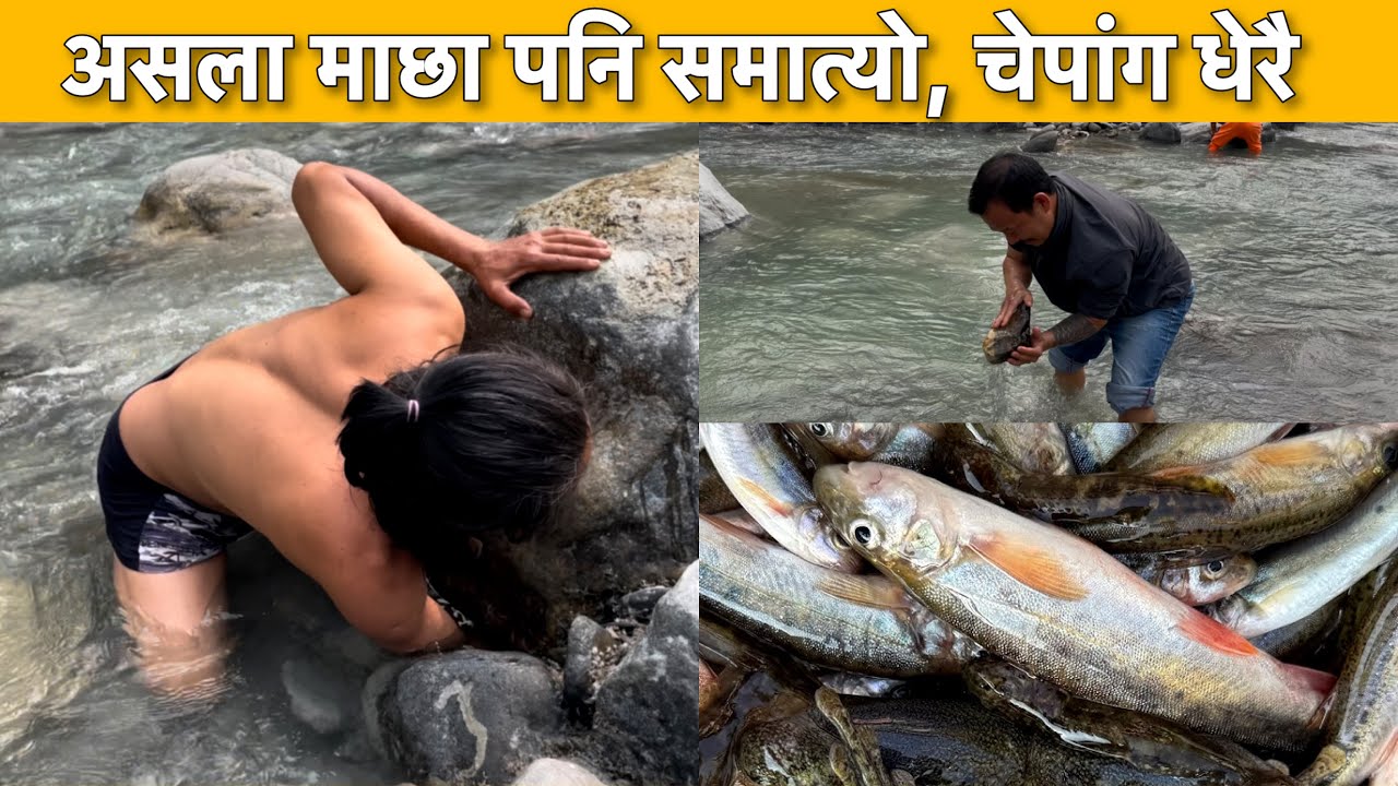 HUNTING IN HIMALAYAN RIVER // FISHING IN NEPAL.