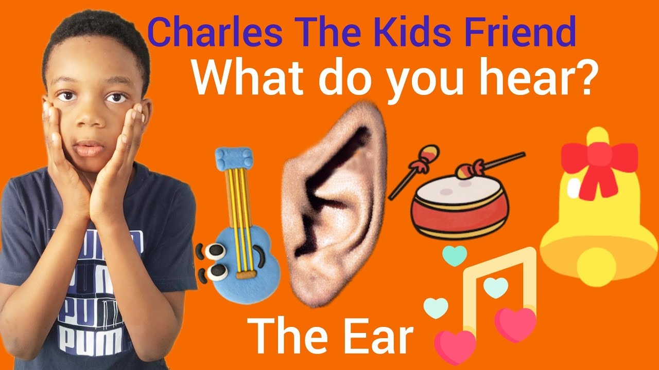 What Do You Hear? | Sense of Hearing for Kids 👂🎶