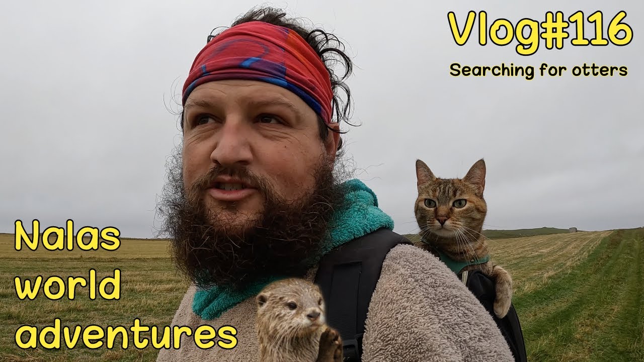 Caution, otters crossing 🦦😻 Vlog #116