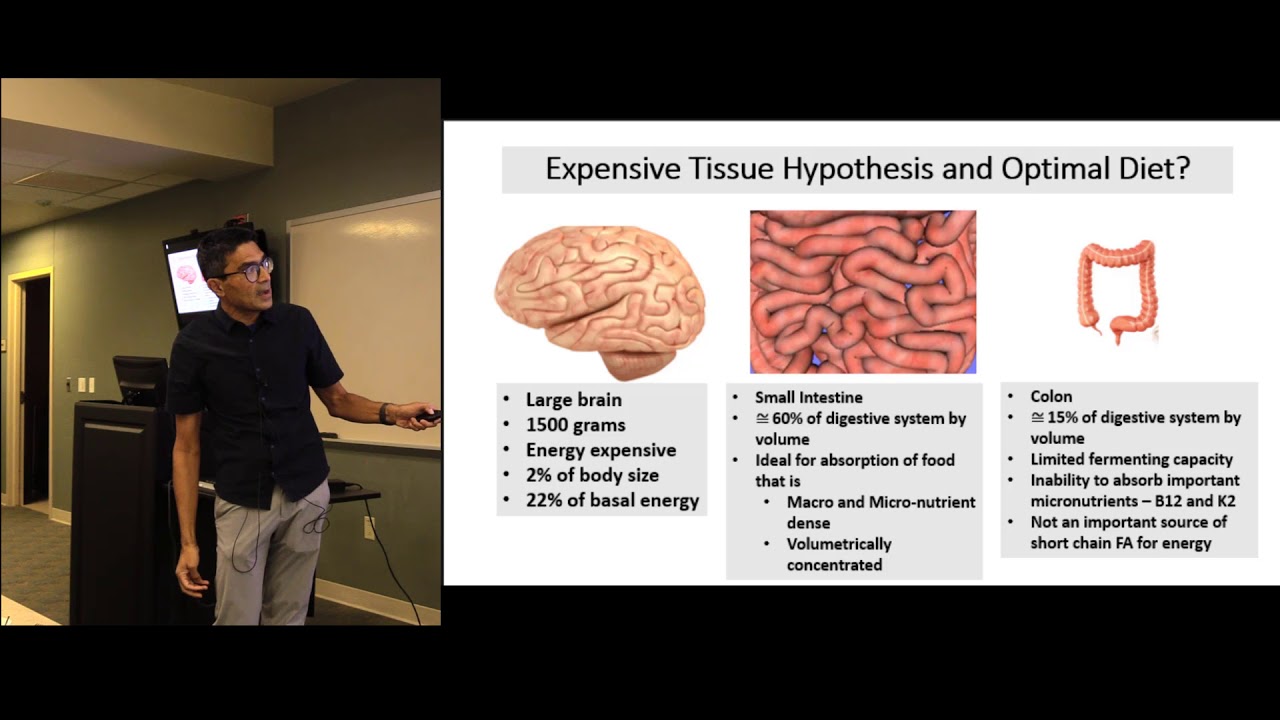 Optimal Diet for Humans