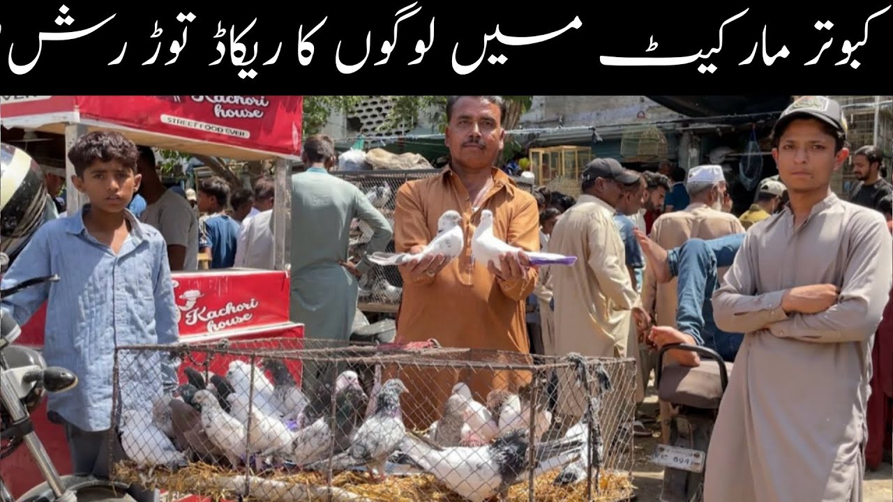 Kabootar Market Lalukhet Sunday Video Latest Update 6-4-2025 in Urdu/Hindi