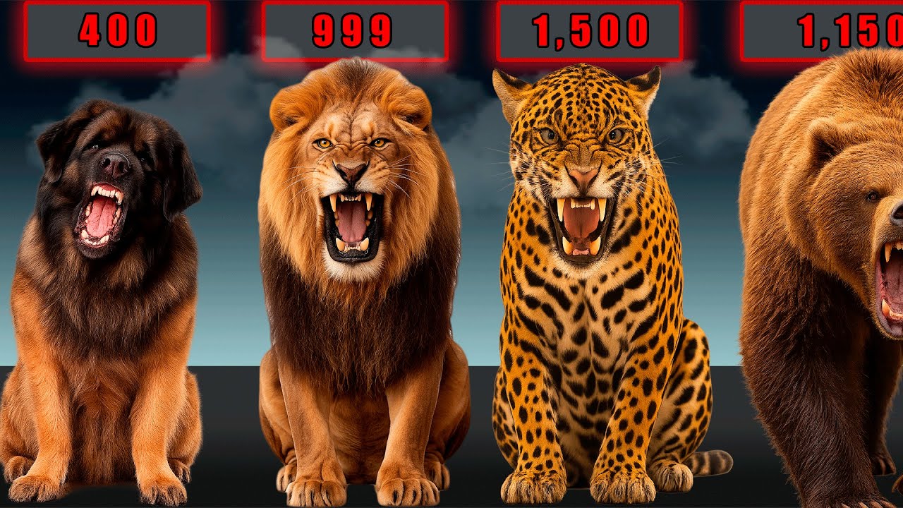 Animals Ranked by PSI: Who Has the Strongest Bite?