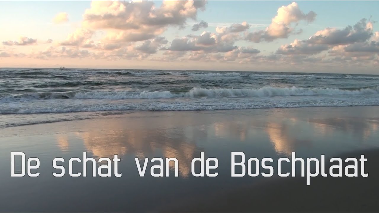 De Schat van de Boschplaat