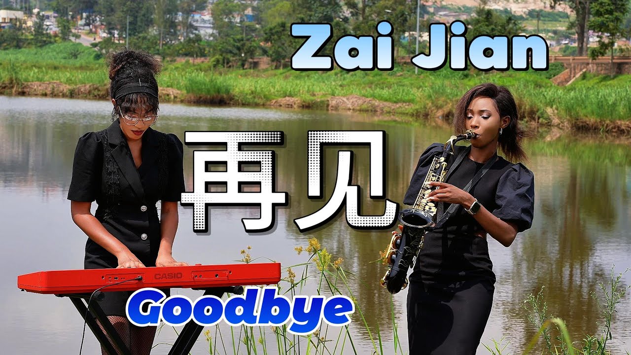 这应该是全网最好听的【再见】DJ版，百听不厌！Zai Jian Cover