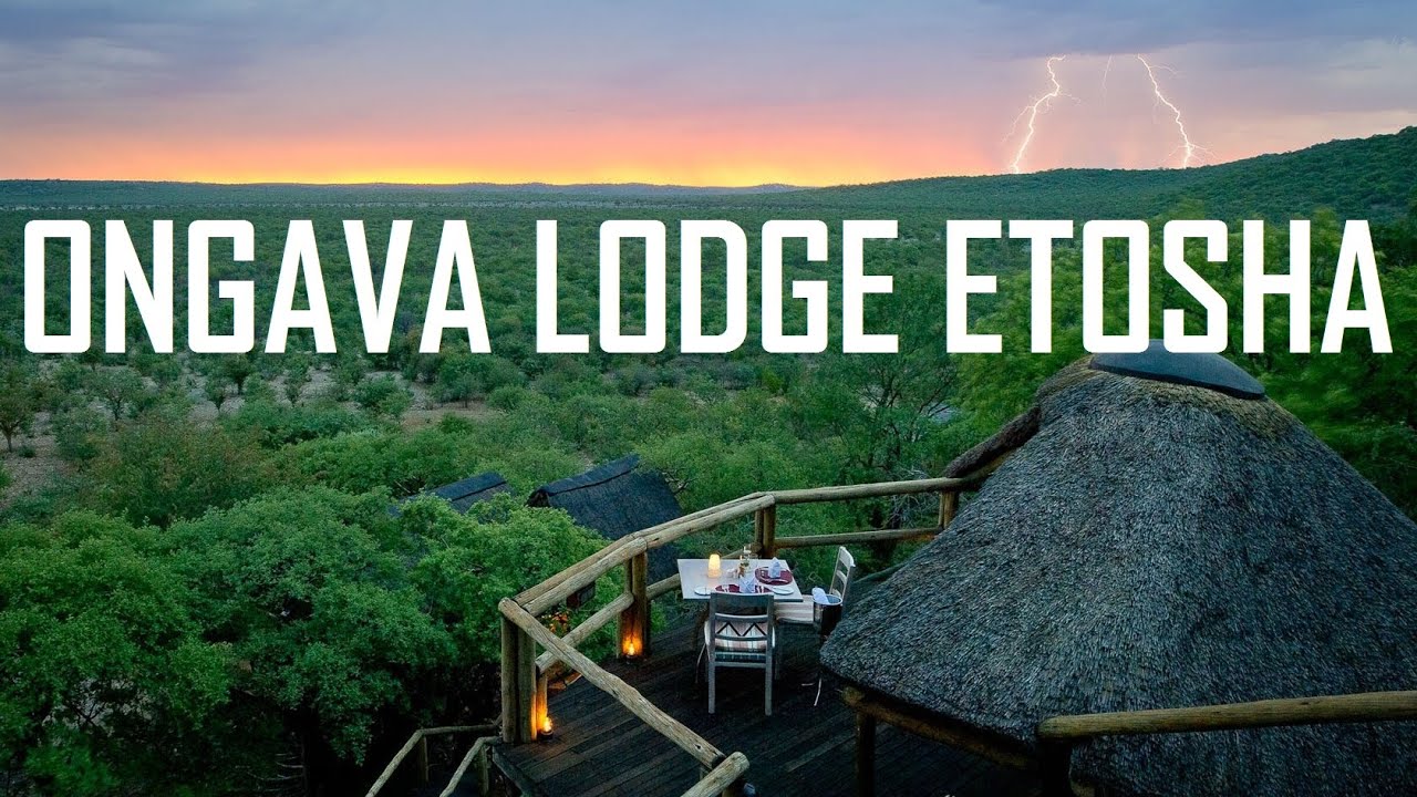 ONGAVA LODGE ETOSHA NATIONAL PARK NORTHERN NAMIBIA | ОНГАВА ЛОДЖ ПАРК ЭТОША СЕВЕРНАЯ НАМИБИЯ
