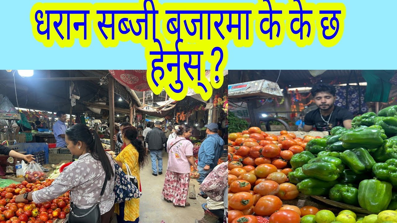 धरान सब्जी बजारमा के के छ हेर्नुस् 