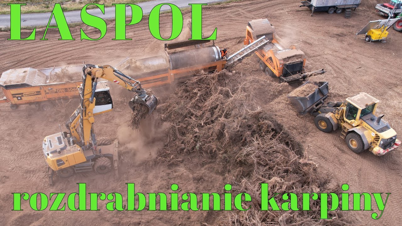 LASPOL Chłopecki, rozdrabnianie karpiny