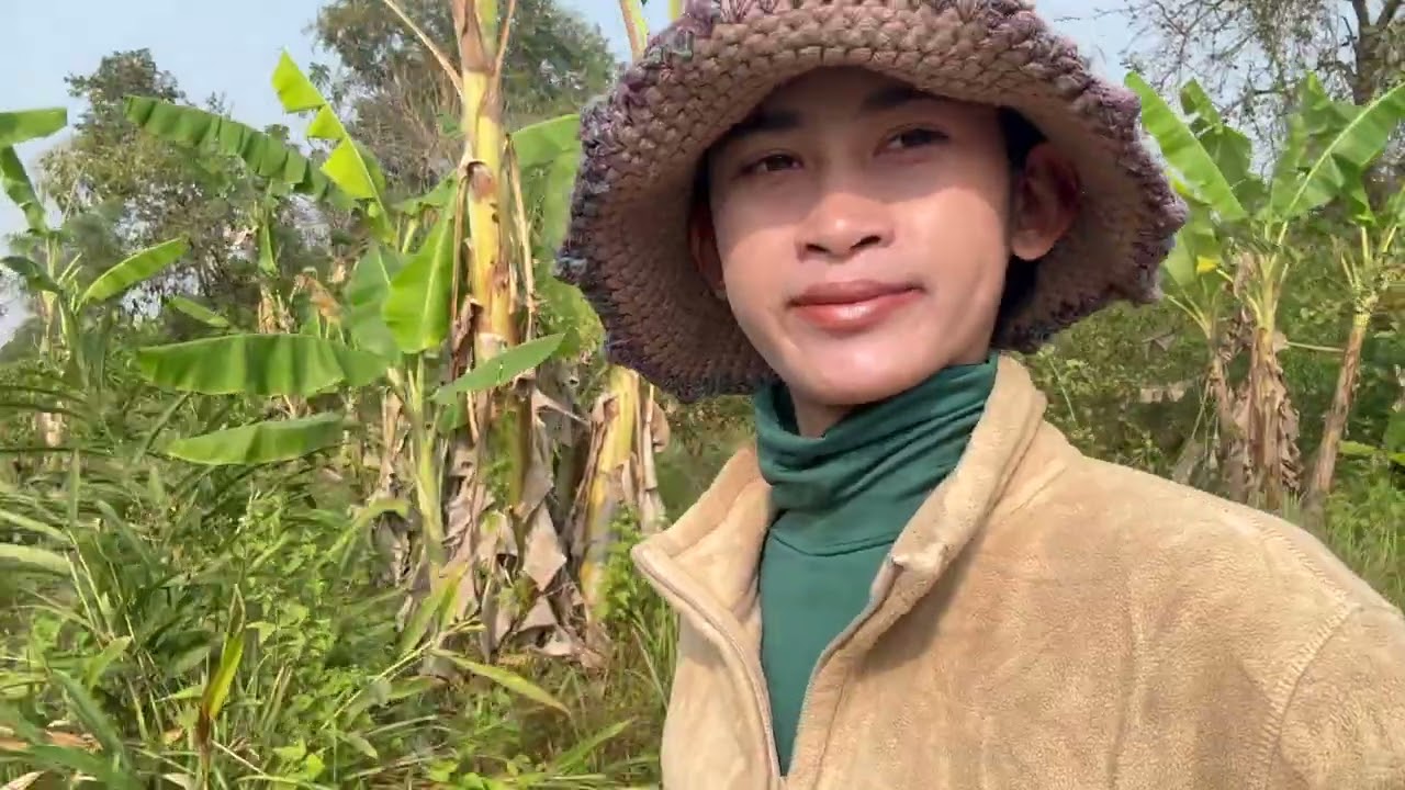 My dad and I take the cattle to the rice field