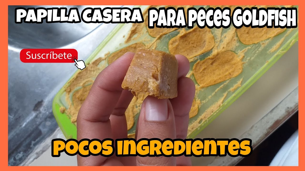 Como hacer  papilla casera para  peces Goldfish con pocos ingredientes