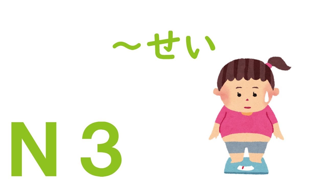 【Ｎ３文法】～せい