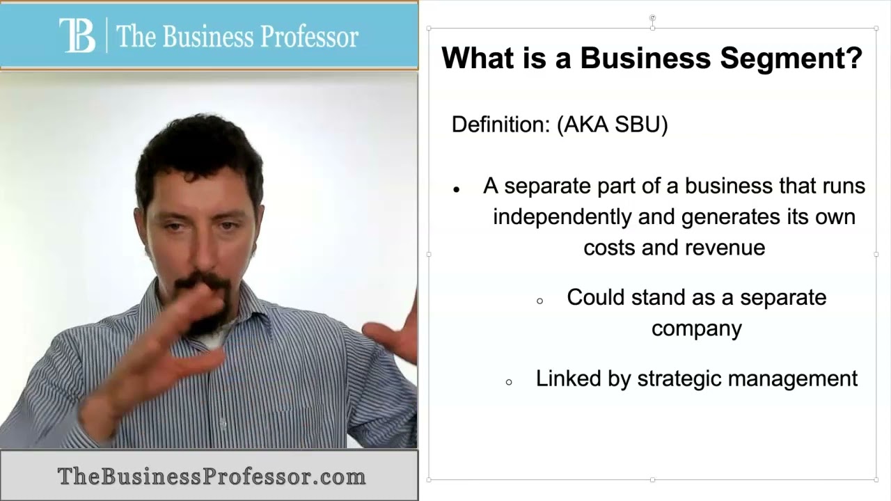 Business Segment - Strategic Business Unit (SBU)
