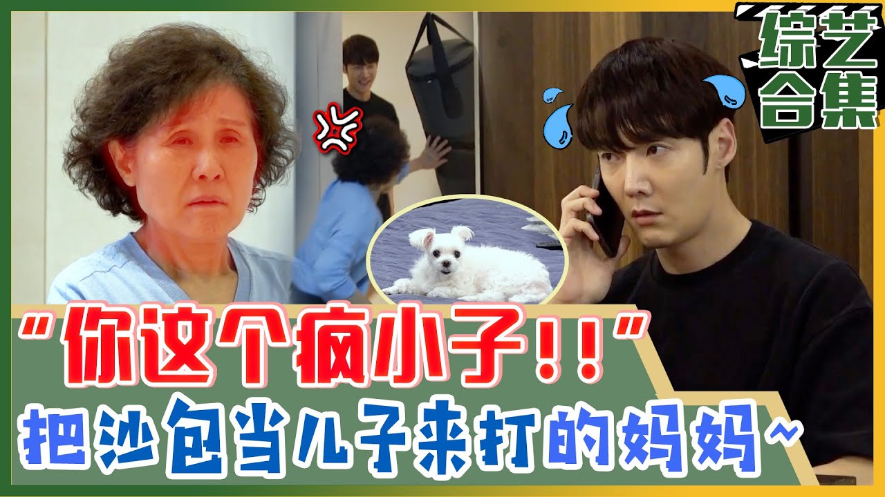 [我家的熊孩子] (中字)“谁叫你总是做挨打的事!!” 没有一天不被妈妈挨骂的振赫!
