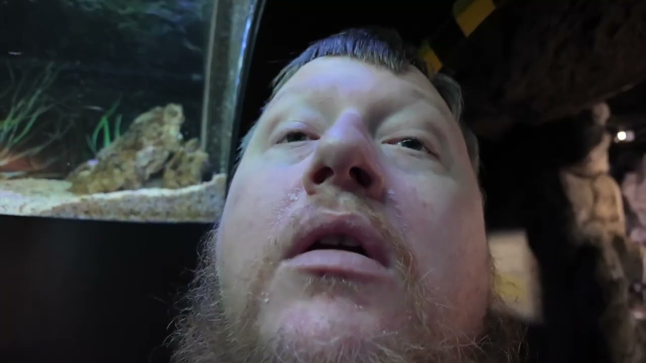 part 3/3 of EU's biggest aquarium with the curious