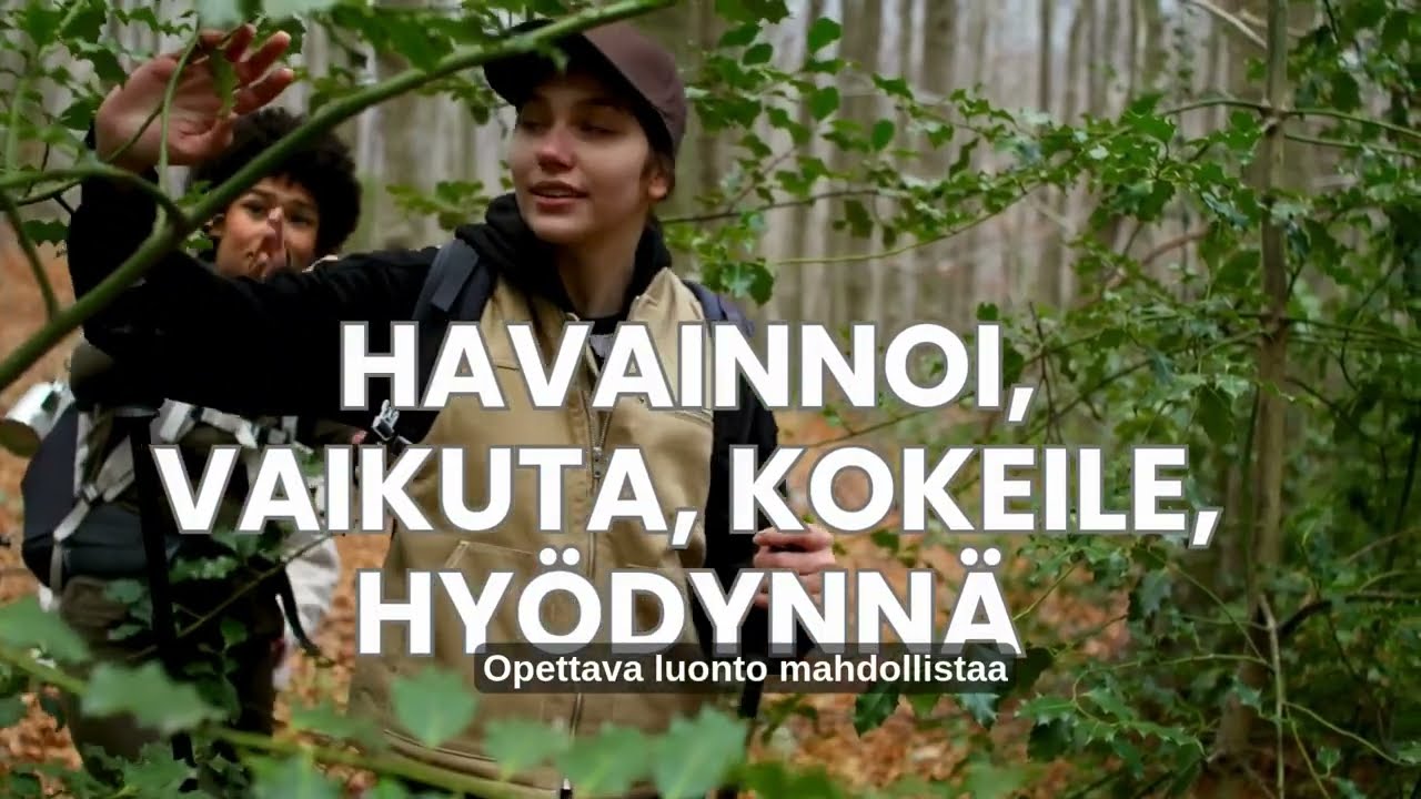 Mikä on sinun luontosi nuorisotyössä?