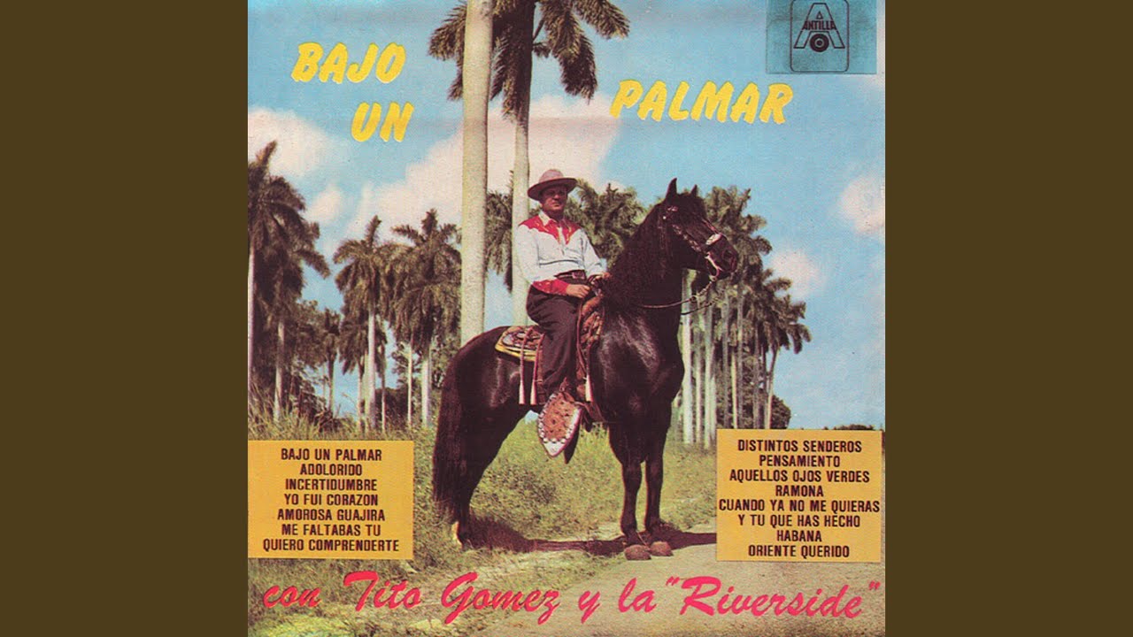 Bajo Un Palmar
