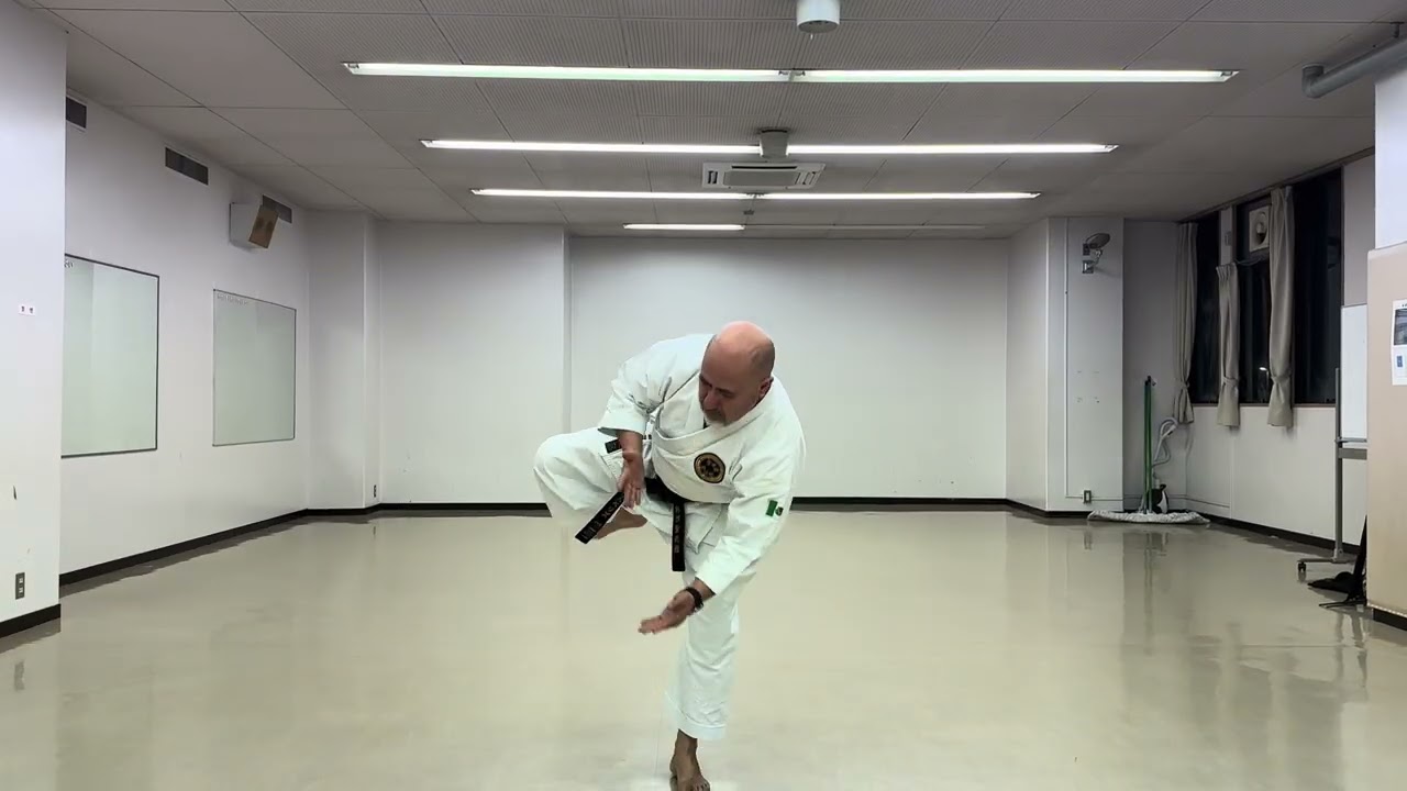 Hip mobility exercises for better stances. 
