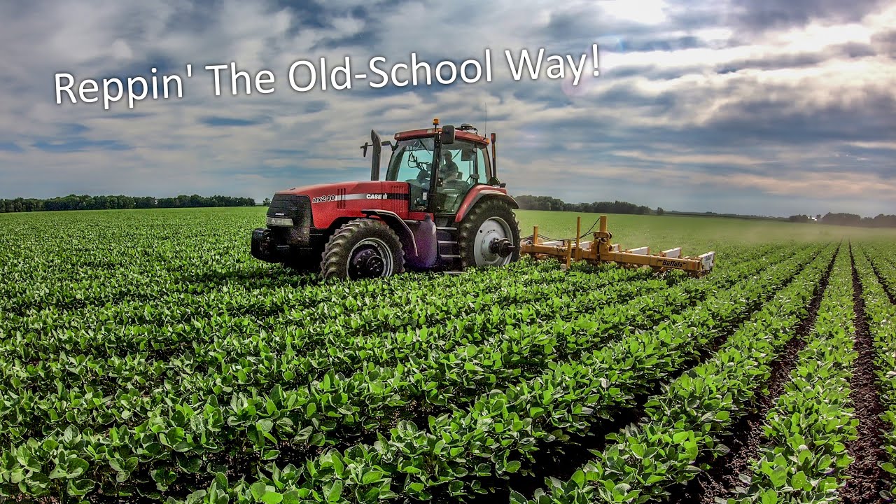 RowCrop Cultivating Soybeans | Illinois Farm Vlog #11