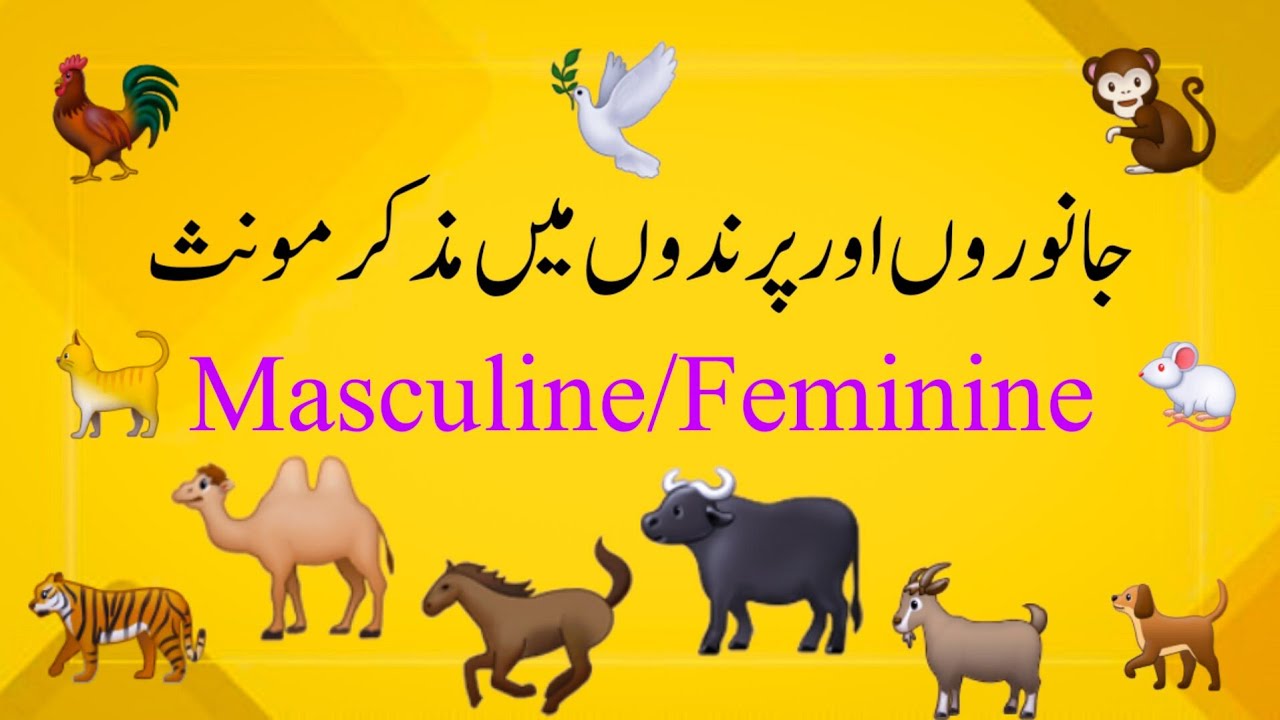 Masculine feminine in animals and birds ||مذکر مونث|| muzakar monas || masculine feminine