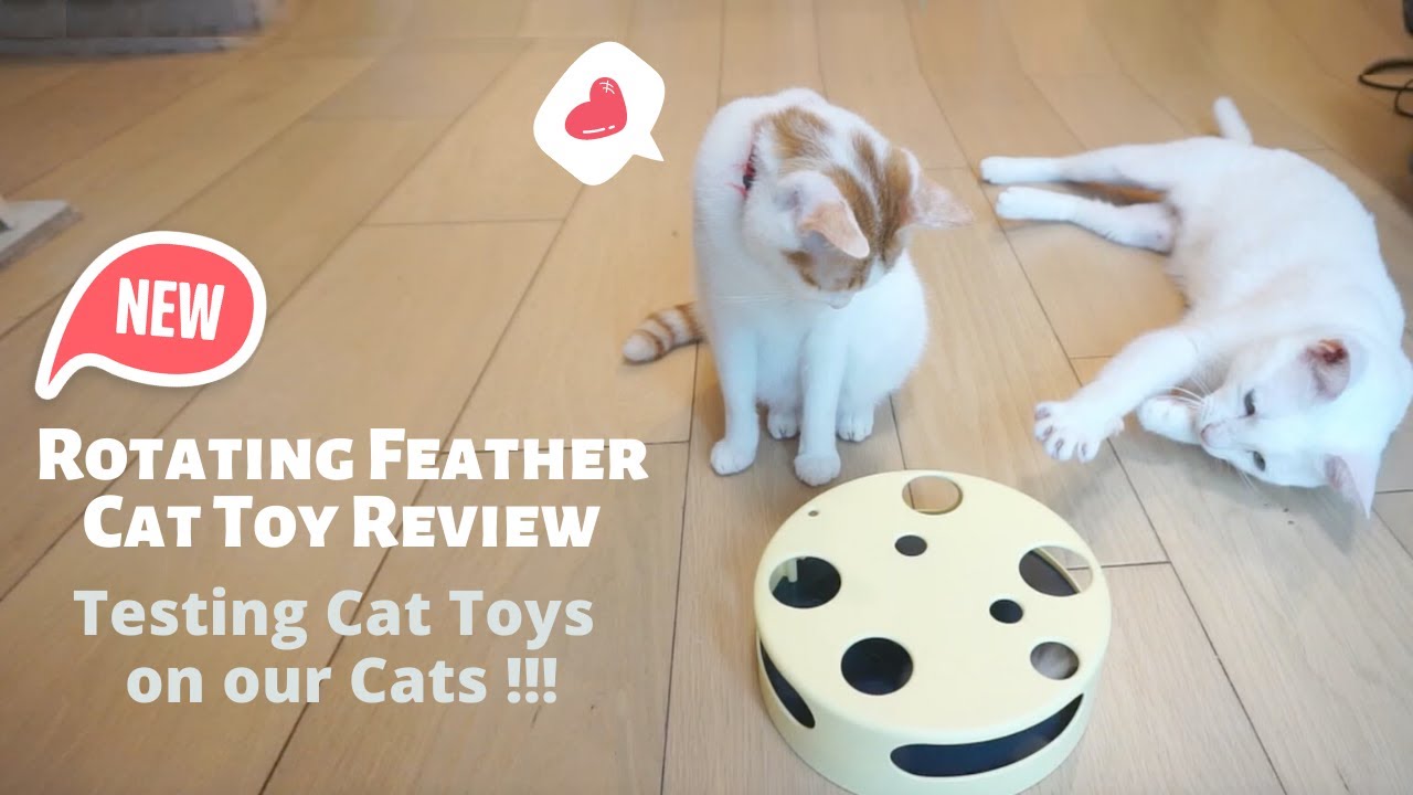 Rotating Feather Cat Toy Review – Keep Cats in 1 spot!