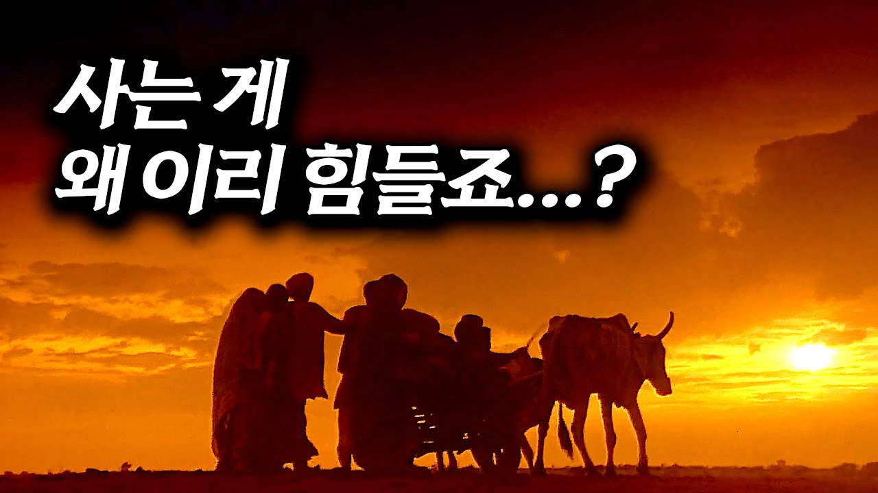 네이버 평점 9.15 말이 필요 없는 최고의 감동 영화 [영화리뷰 결말포함]