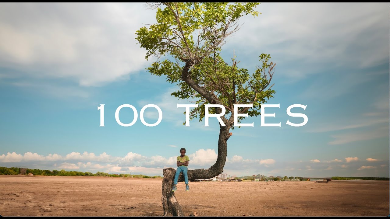 We planted 100 Trees in Namibia