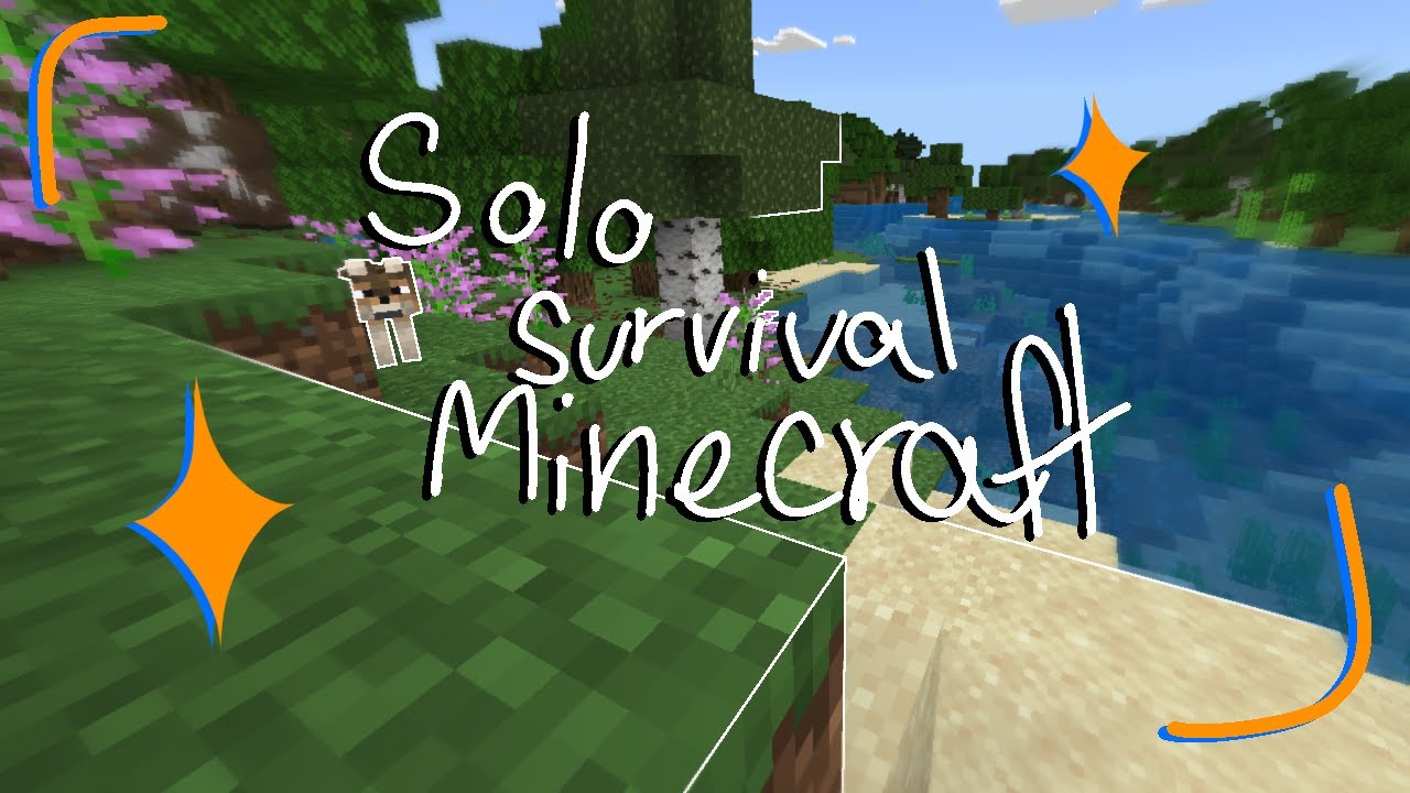 alone survival world  // Minecraft