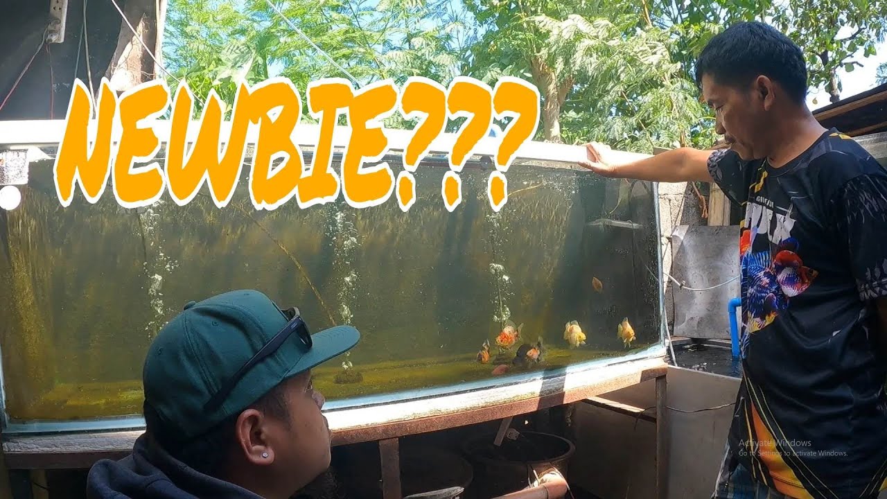 EP217. NEWBIE NA ANG DAMI NANG AWARDS TIPS AND IDEAS BY REYNALDO LOMOLJO | GOLDFISH ADVENTURE