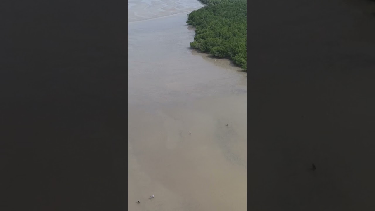 Pantai Morib, Banting