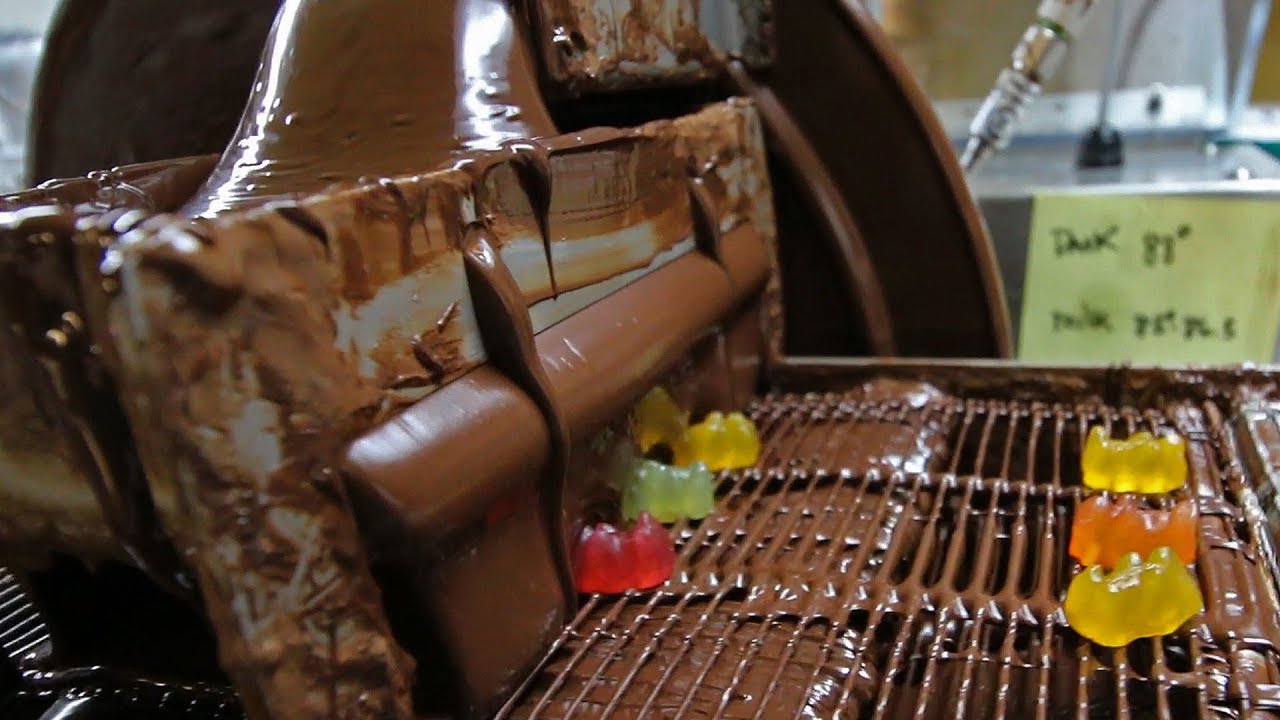 Dark Chocolate Covered Gummy Bears