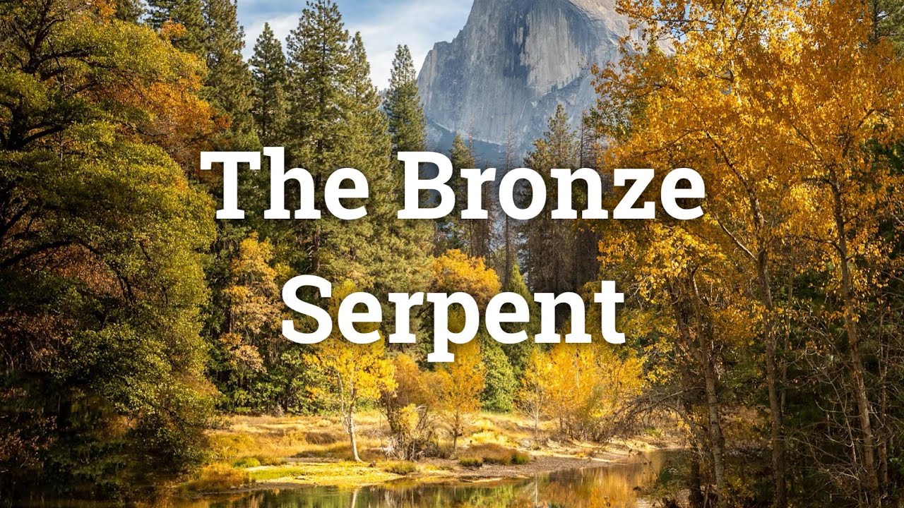 The Bronze Serpent - Paul Aspinall