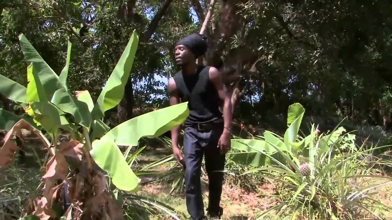 Prince Koloni ft Tarrus Riley - Nature (Official Video)