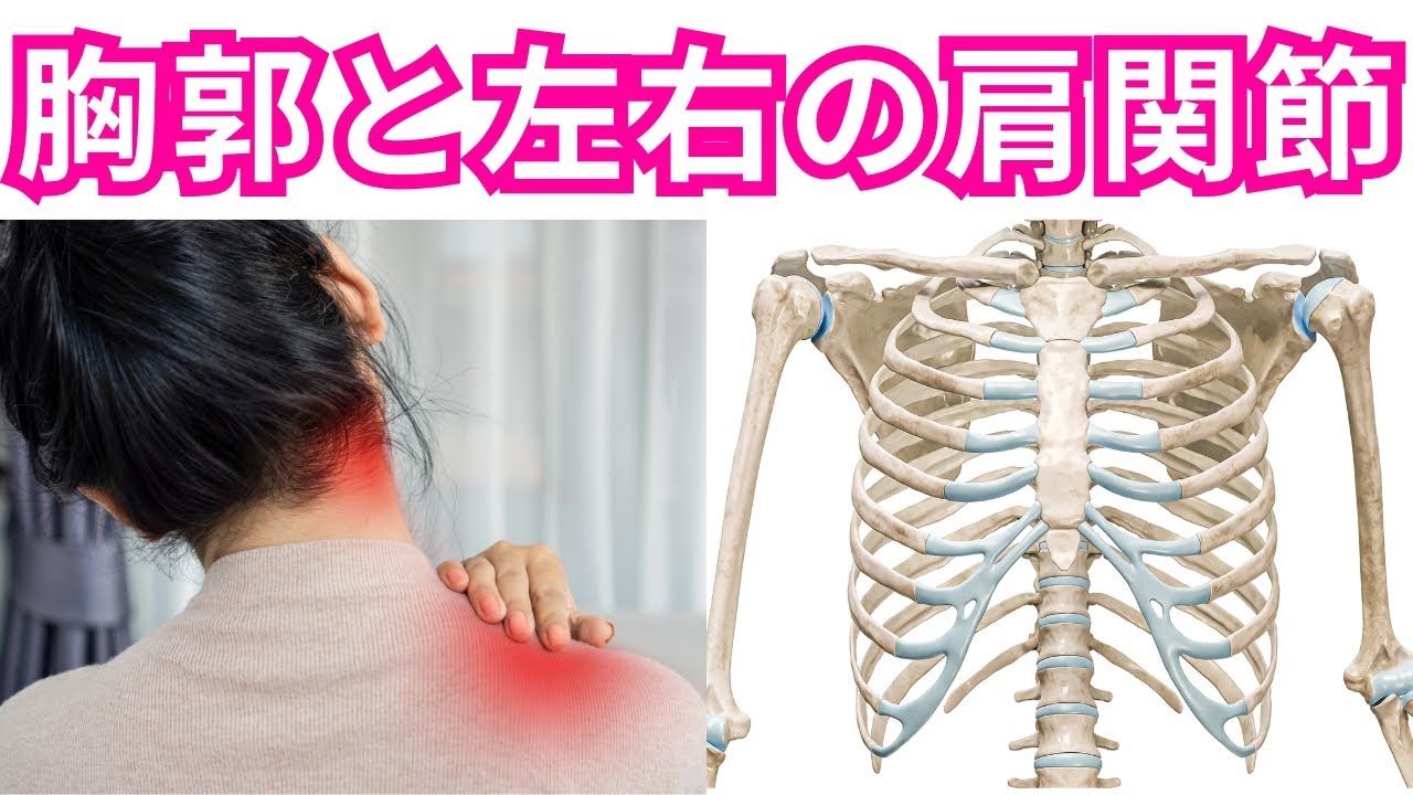 胸郭を回旋するだけで判別！首・肩が「左だけ」「右だけ」なぜ痛いのか？