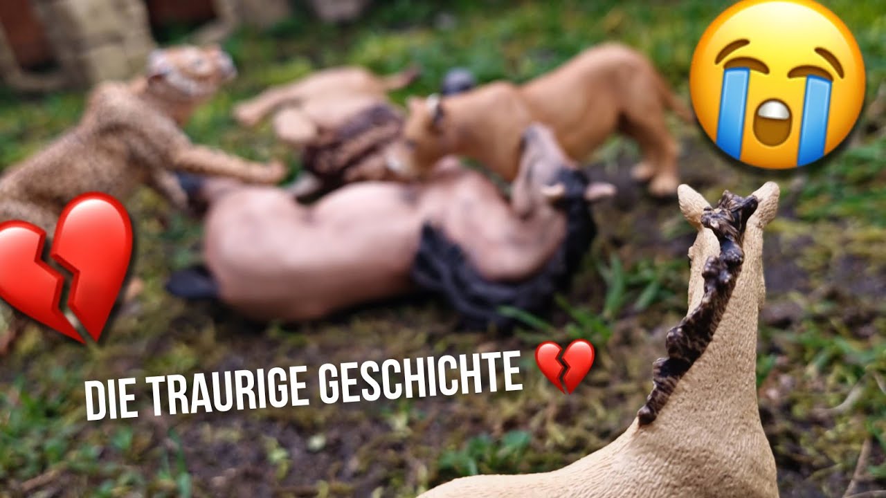 Die traurige Geschichte eines Pferdes, das seine Eltern verlor..💔