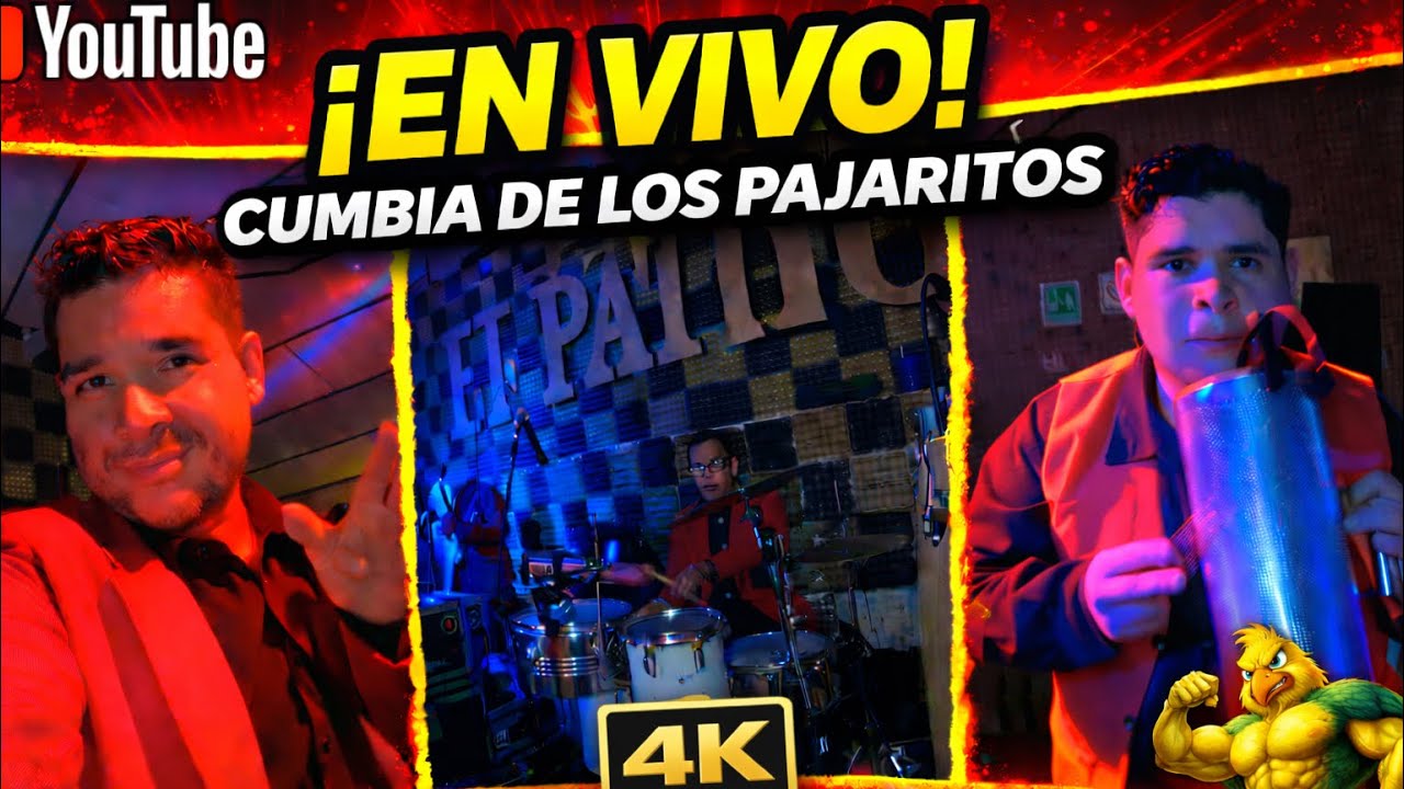 4k cumbia de los pajaritos 🥳❤️🤠