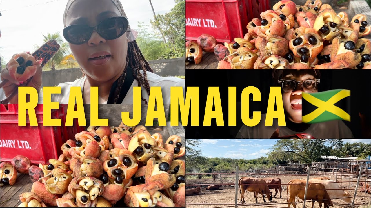 Аки и соленая рыба — национальное блюдо Ямайки 🇯🇲 🇯🇲