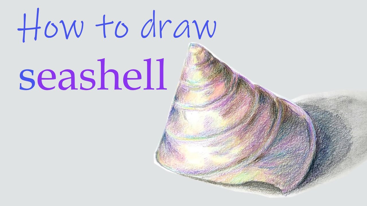 How to draw a realstic seashell with color pencils