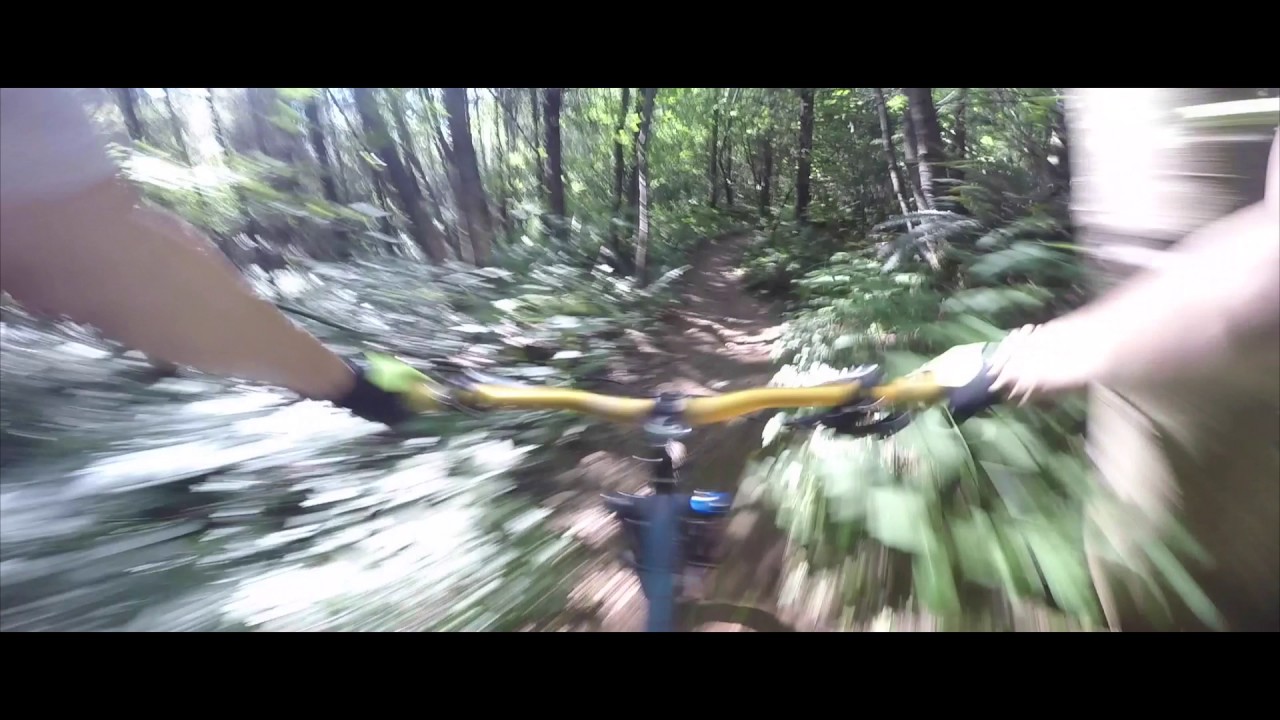 Sumas Mountain - Squid Line