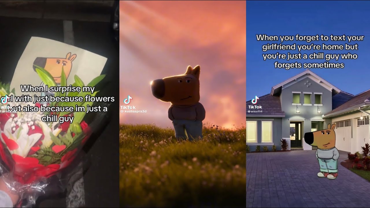 Chill Guy Meme Compilation