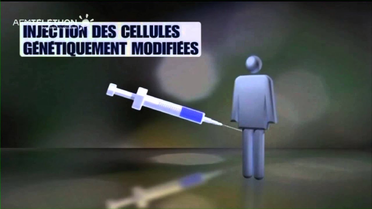 La Th&eacute;rapie g&eacute;nique des maladies du sang