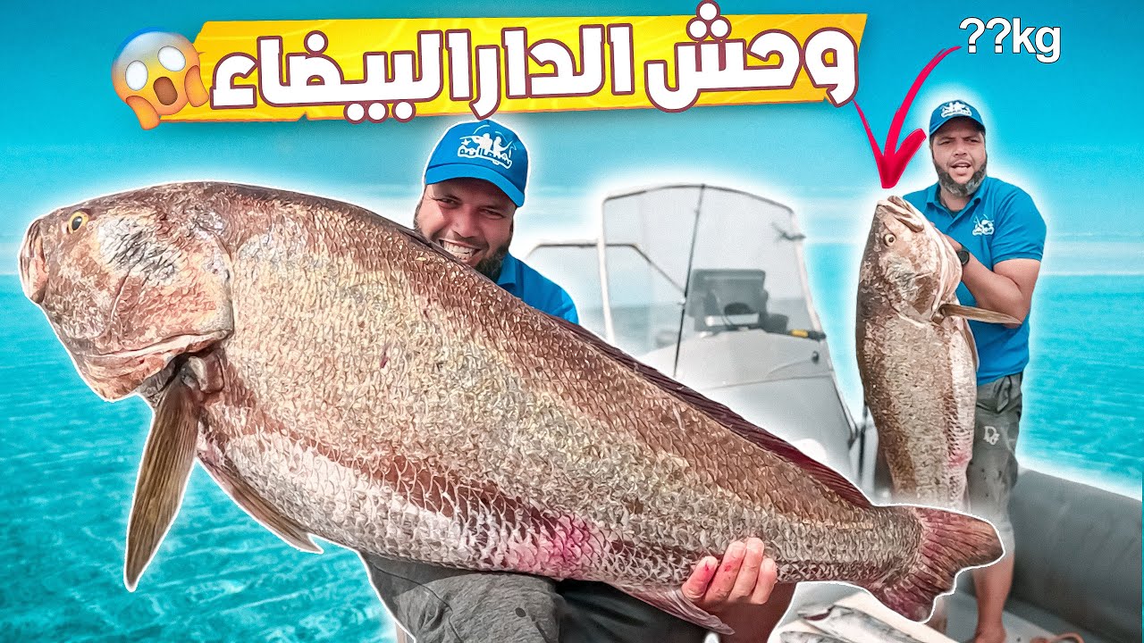 اصطدنا وحش البحر🐋السمكة العملاقة في المحيط 🛥️كيف فعلنا ذلك 🤔؟