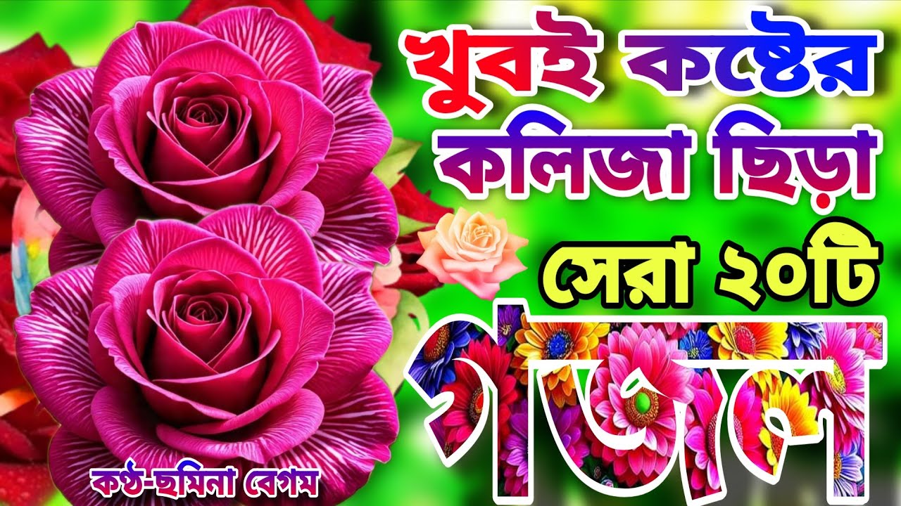 খুবই দুঃখের কবরের শেষ বিদায়ের সেরা ২০টি মন প্রাণ জুড়ানো গজল।আমার প্রাণ পাখি উড়িয়া যেদিন যাইবে 