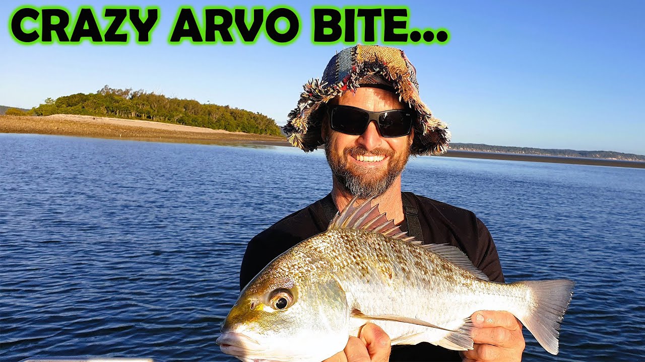 Hervey Bay - a day on the water with the missus - cracking afternoon fishing session