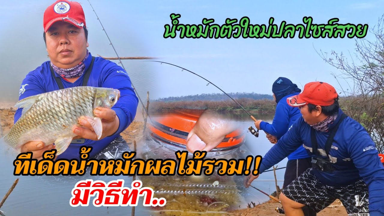 ตกปลาหมายบึงหล่มพร้อมวิธีทำเหยื่อและน้ำหมักผลไม้รวม!!#ตกปลาหน้าดิน#สูตรเหยื่อตกปลา 